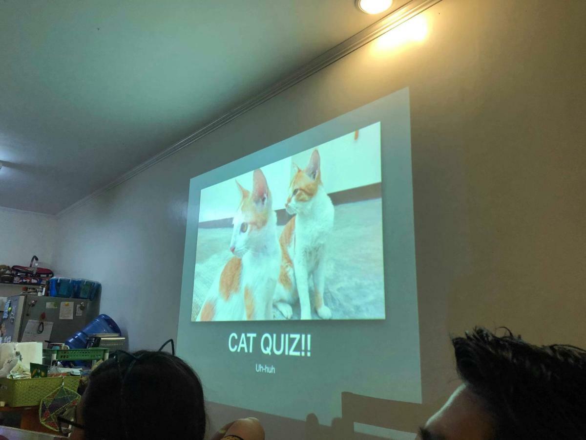 Cat Japanese Only At Uh Huh House Albergue Cebú Exterior foto